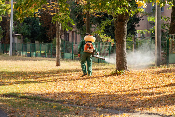Best Termite Control Services  in Leisure Knoll, NJ